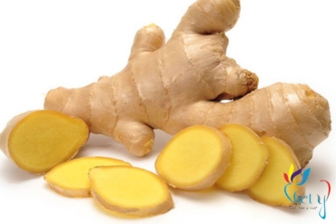 gung   zingiber officinale
