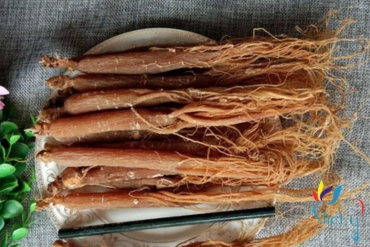 hong sam   radix ginseng rubra